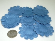 AS4E - 75mm Dark Blue Daisy 